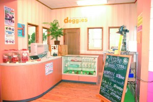 62p doggy1